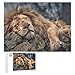 Puzzle per Adulti 500 Pezzi Animali Selvatici Leone Addormentato Puzzle da 500 Pezzi per Adulti per Giochi di Famiglia Ragazzi e Bambini Animali Leone Jigsaw Puzzle 52x38 cm