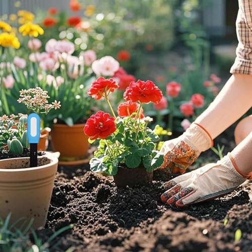 Testeur d'humidité des sols avec sonde à piles et unité commutable - 3