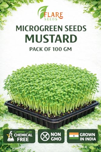 Image of Mustard Microgreen Seeds, Chemical-Free Non-GMO, 100 gm Pack with Coco Disk, Rich in Antioxidants and Nutrients, Grown in India