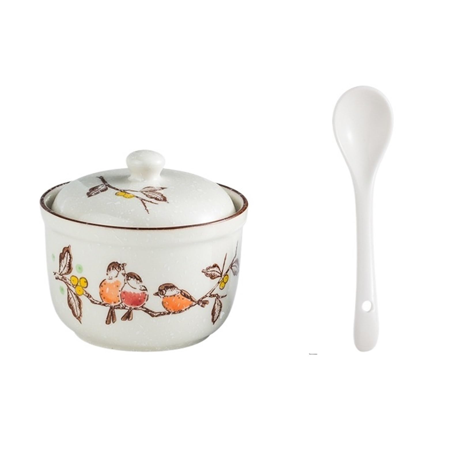 HYFEUOKF Retro Porcelain Hand Painted Jar Salt Gourmet Powder Can Box Household Kitchen With Seasoning Spoon(Flowers and birds)