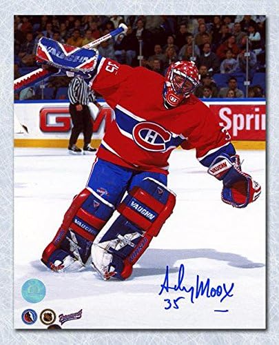 Lot De 30 Cartes De Hockey Andy Moog - Goaler LNH - Collection