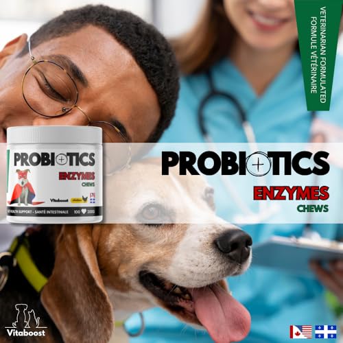 Dog Probiotics Chews – Relief for Gas, Diarrhea, Allergies, Constipation, and Upset Stomach – with Digestive Enzymes – Chewable Fiber Supplement to Support Digestion and Immunity – Made in Canada - Image 3