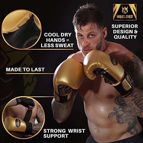 Warlord Kanabo Superior Boxing Gloves Men, Muay Thai Gloves, Mma Gloves, Kickboxing Gloves, Punching Bag Gloves, Boxing Bag, Heavy Bag Gloves, Boxing Equipment, Pre Workout Sets (Gold, 14 Oz) #TOP1