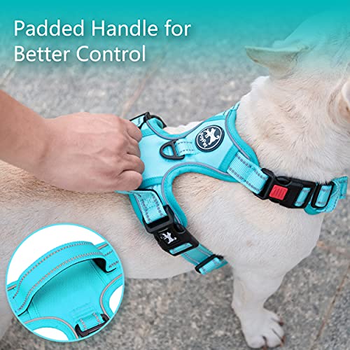 Image of PoyPet No Pull Dog Harness, No Choke Reflective Dog Vest, Adjustable Pet Harnesses with Easy Control Padded Handle for Small Medium Large Dogs(Mint Blue Matching Trim,XL)