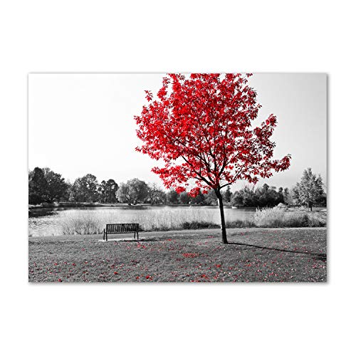 Dosseret en verre paysage arbre rouge pour décorer votre cuisine