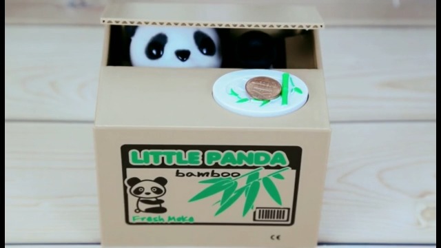 Amazon.com: Piggy Bank Steal Coin Box Electronic Money Bank Cute