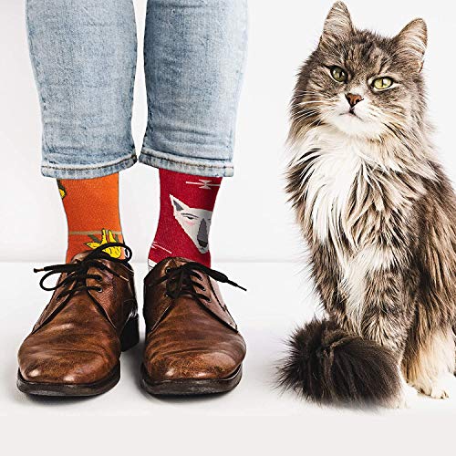 10 Pares Meias masculinas coloridas – Meias masculinas divertidas com estampa Funky Crew