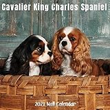  Cavalier King Charles Spaniel 2021 Wall Calendar: Cavalier King Charles Spaniel 2021 Calendar, 18 Months.