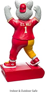 51IRb3aEEgL._AC_UF350,