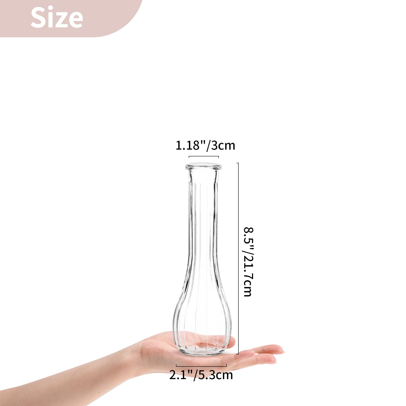 NUPTIO Floreros de Cristal para Flores de Boda: 12 Piezas 21,7cm Alto Florero Pequeño para de Centro de Mesa - Florero Decorativo Estriado para Fiesta Inauguración Casa Decoración