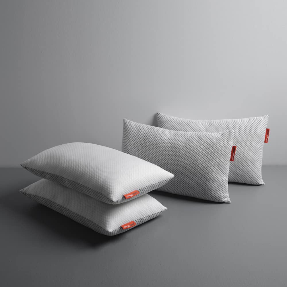 Sleepyhead Hollow Fiber Pillow (Grey & White, 26X16 Inches, Set Of 4, Polyester) (B09VLCMVYB) Amazon Price History, Amazon Price Tracker