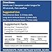 Silver HOLISTICS Colloidal Silver Liquid Bundle – Includes Colloidal Silver Spray (4 OZ) & Refill Solution (16 OZ) with Free Dropper - Immune Support Supplement for Children, Adults, & Pets