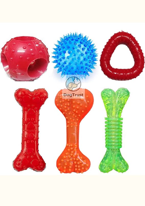 Dog Trust Dog Rubber Chew Toy Combo (Flavored Bone + Scented Hole Ball + Spike Led Ball +Paw Print Rubber Bone+Rubber Grip Bone+ Dog Chew Trio) Suiatble for Small to Medium Breeds (B09Z329ZF1) Amazon Price History, Amazon Price Tracker