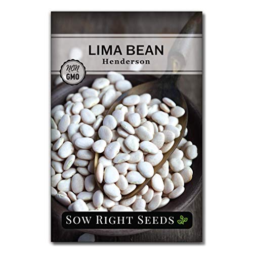 Sow Right Seeds - Bush Henderson Lima Bean Seeds for Planting - Non-GMO Heirloom Packet Instructions to Plant an Outdoor Home Vegetable Garden - White Lima Variety - Great for Canning or Freezing (1)