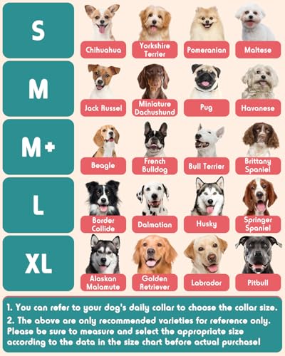 Image of Inflatable Dog Pillow Cone Collar After Surgery, Donut Soft Neck Cone for Chihuahua Pomeranian Small Dogs, etc, Recovery E Collar to Stop Licking Pink Donut