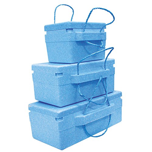 Amazon.co.jp: 発泡クーラーボックス 18L : スポーツ＆アウトドア