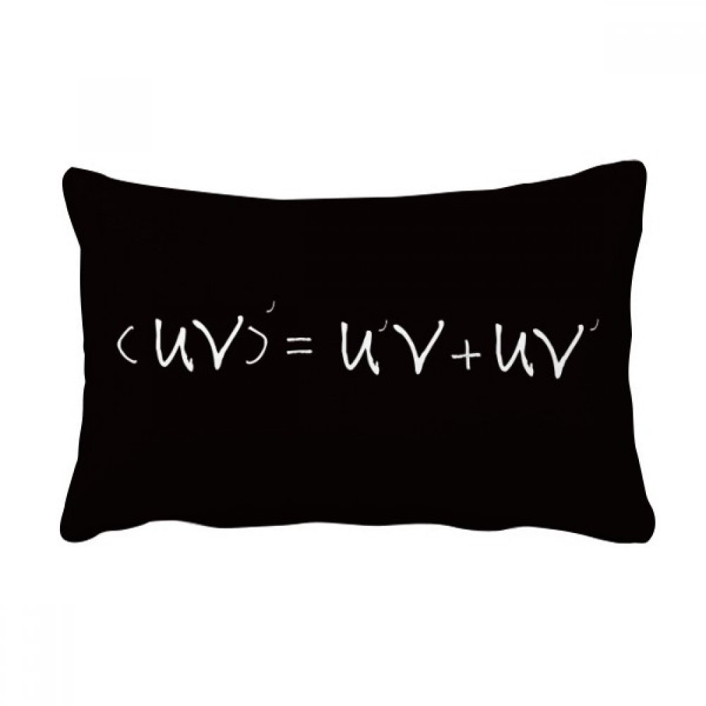 Coussin mathématiques oreiller lombaire soulagement dos canapé 40x60