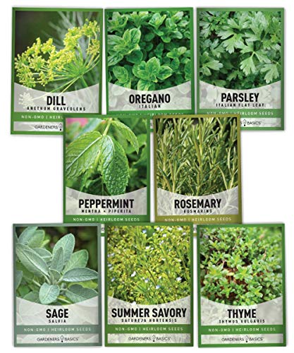 Gardeners Basics, 15 Herb Seeds for Planting Varieties Heirloom Non-GMO 5200+ Seeds Indoors, Hydroponics, Outdoors - Basil, Catnip, Chive, Cilantro, Oregano, Parsley, Peppermint, Rosemary and More - Image 6