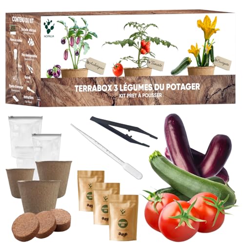 NOPALIA® Kit Potager Prêt à Pousser – Graines Bio (Tomate, Courgette, Aubergine) – Jardin...