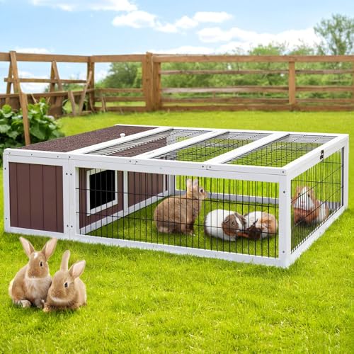 small animal hutch features