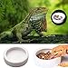 Orgrimmar 2 Pack Reptile Food Bowl Lizard Gecko Food Water Dish Bearded Dragon Feeding Dish, Ceramics Worm Dish for Lizard Anoles Bearded Dragons