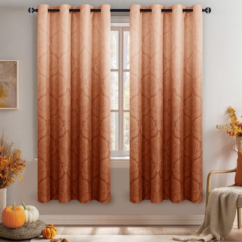 DWCN Ombre Curtains 63 inches Long - Damask Pattern Ombre