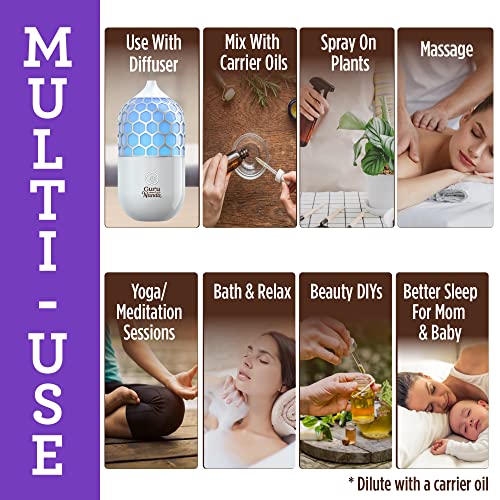 Gurunanda Essential Oil Set Sleep & Relax With Cedarwood, Frankincense, True Lavender, 100% Pure & Natural, Oils For Diffuser, Aromatherapy And Wellness 0.34 Fl Oz (Pack Of 3) #TOP4