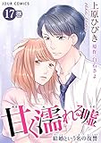 甘く濡れる嘘～結婚という名の復讐～ ： 17 (ジュールコミックス)