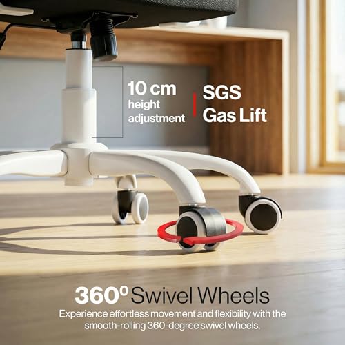 Image of DROGO Aerofly Premium Ergonomic Office Chair for Work from Home, 2D Headrest, High Back Computer Chair with Mesh, Flip-up Armrest, Recline,Adjustable Lumbar Support, Mesh Chair for Office(White /Black)
