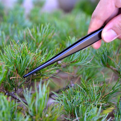 Kakuri Bonsai Tweezers Straight Serrated Tips With Spatula 8.8" Professional Bonsai Tool, Japanese Stainless Steel Black Coated, Made In Japan #TOP1