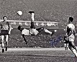 Pele Joe New York Cosmos Autograph Signed 16x20 Bicycle Kick Photo Steiner Sports Certified