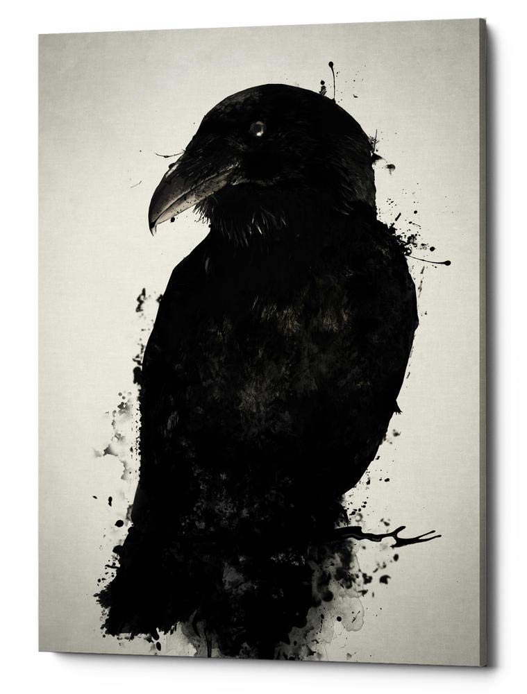 Cortesi Home 'The Raven' by Nicklas Gustafsson, Canvas Wall Art, 40