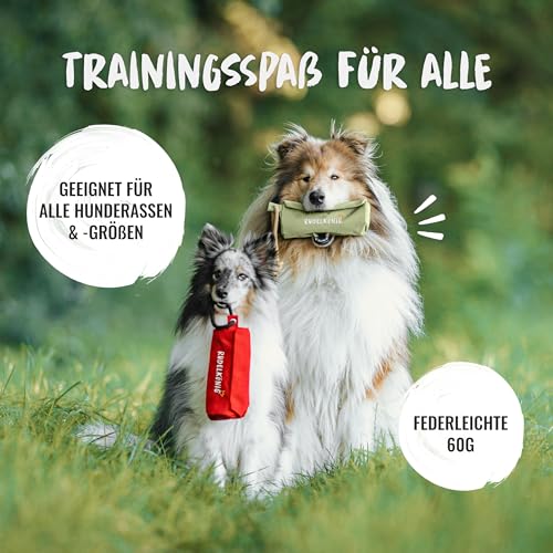 Rudelkönig Futterbeutel für Hunde - Apportierbeutel für Hundetraining - Robuster Futterdummy für Leckerlies - Dummy Hund