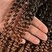 6 Bundles 8 Inch Short Marlybob Crochet Hair Curly Crochet Braids Hair Afro Kinky Curly Crochet Hair For Black Women Synthetic Hair Extensions (8 inch, 1B/27 6 Bundles Marlybob)