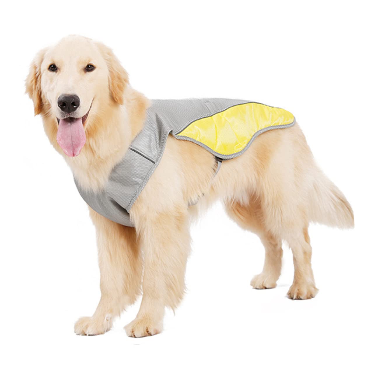 SUPVOX 3pièces Gilet Rafraîchissant pour Chien Veste Reflechissante Été s Gilet De Refroidissement Respirant pour Animaux De Compagnie