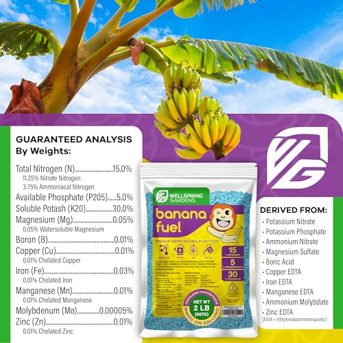 Image of Wellspring Gardens Banana Fuel Fertilizer - Water-Soluble 15-5-30 Blend - Fertilizer for Banana Trees & Plants - Grow Healthy Plants (2 Pounds)