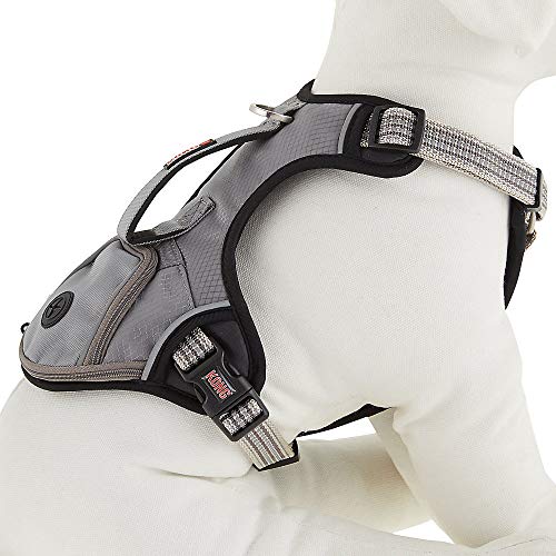 Making Walks Easier Find The Best Kong Waste Bag Harness For Your Dog