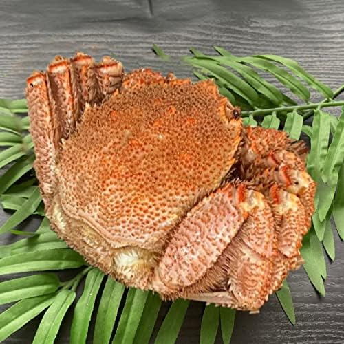 Amazon.co.jp: 【前田水産】特大毛蟹 1尾（750g前後サイズ） 北海道産  