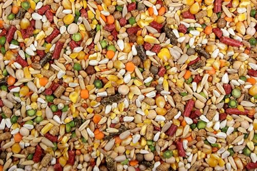 DelightFood Chicken Feed, Whole Ingredient Chicken Treat, Wied Variety of Grains Poultry Feed (20 Pound (Pack of 1), High-Octain (High Protein) with Cracked Corn)