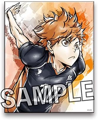 Amazon ハイキュー 激闘キャンバスアート 日向翔陽 アニメ 萌えグッズ 通販