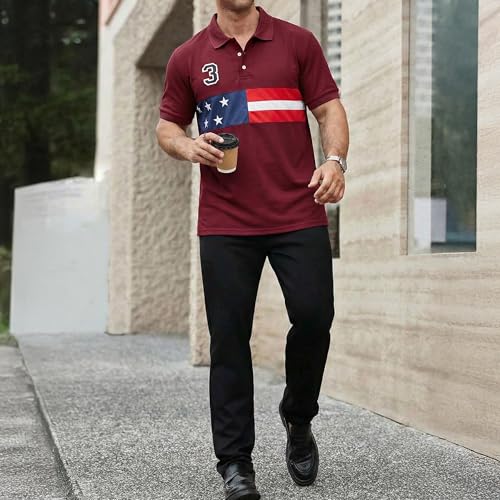 Image of Men's Polyster Stretchable Polo T-Shirts Half Sleeves Regular Fit T-Shirt for Everyday Wear
