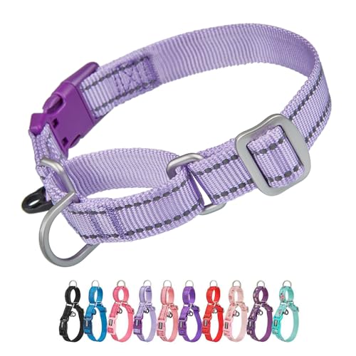 Petiry Martingale-Halsband, reflektierendes Nylon, strapazierfähig, Zug-Halsband mit Sicherheits-Schnellverschluss-Schnalle, ausbruchsicher, für große Hunde, Halsumfang 38–50 cm (Flieder, L)