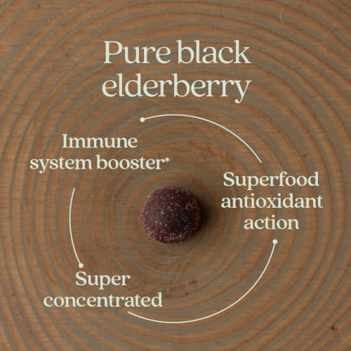 New Chapter USDA Organic Elderberry Gummies for Kids, 30 Count - image 4