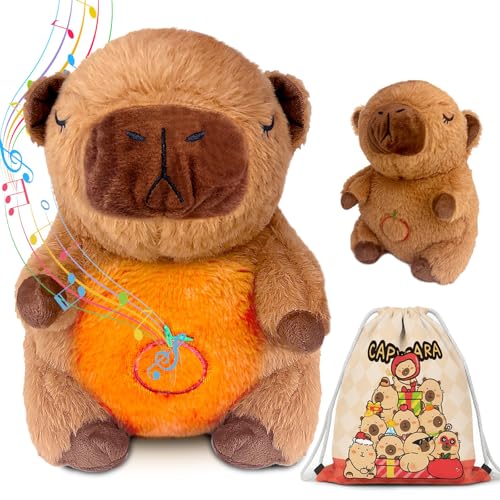 Imagen de Felicify Capybara Que Respira