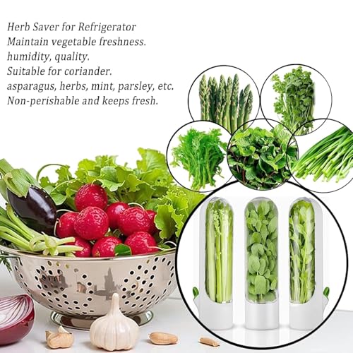 Image of Herb & Vegetable Fresh‑Keeper Bottle for Fridge - Preserve Mint, Parsley, Cilantro, Asparagus Longer - Airtight Design to Lock in Crispness & Flavor