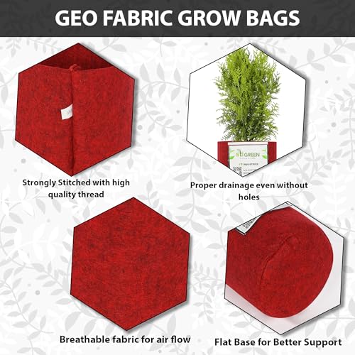 Image of Geo Fabric Grow Bags for Plants 6X6 Inch (Pack of 3) | 400 GSM Heavy Duty UV-Protected Round Maroon Colour Plant Bags for Terrace and Vegetable Gardening | Strong & Reusable|