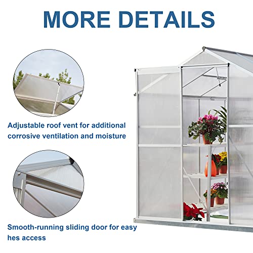 Evedy Greenhouse, 6X8 Ft Greenhouses For Outdoors, Walk-In Greenhouse Polycarbonate Greenhouse, Aluminum Green House Kit For Winter Plants With Lockable Door And Adjustable Roof Vent #TOP1