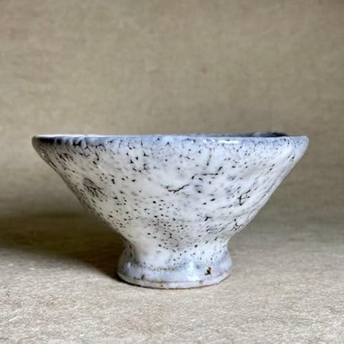 唐津焼 酒器」の人気商品一覧 | 安い商品を通販サイトから探す - 価格.com