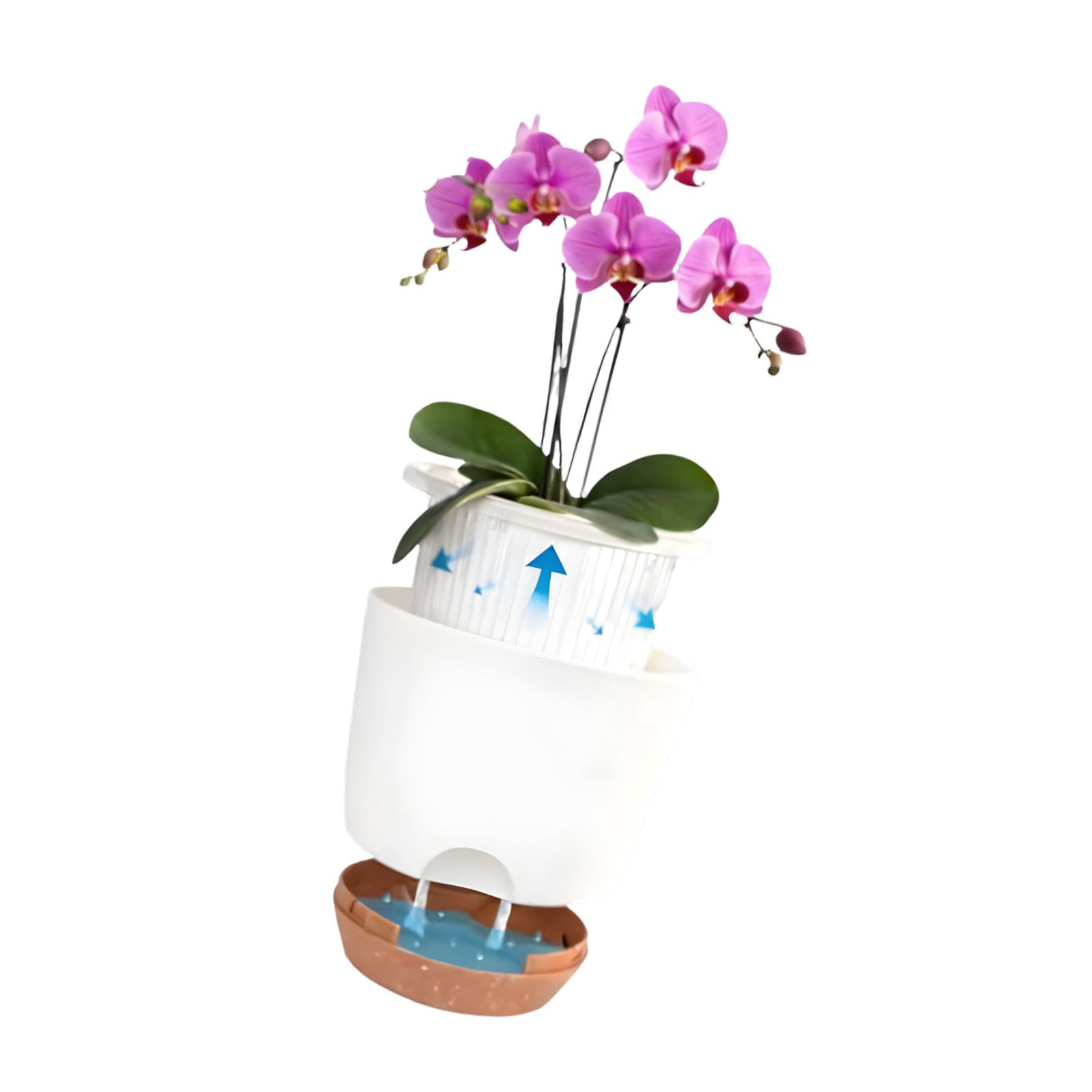 Piceioep Wall Planting Set for Flowers Featuring 360 Degree Breathing and Watering Feature Ventilated Plant Container