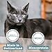 catz finefood Meatz Katzen Leckerlies Känguru N° 13 - knusprige Streifen aus 100 Prozent Kängurufleisch - Katzensnack für Allergiker ohne Zucker, getreidefrei, 45g, Die Verpackung kann variieren.